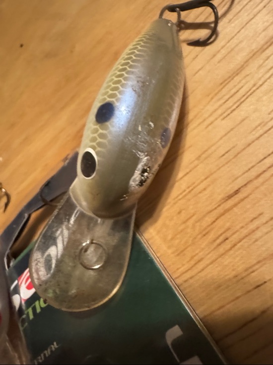 blue and orange lipless rapala fishing lure Snare 50 Crankbait or jigging over hard lake bottoms with stable Rapala Rippin' Rap Chrome Blue;